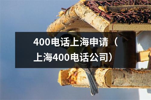 400电话上海申请（上海400电话公司）