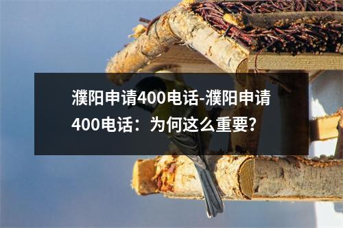 濮阳申请400电话-濮阳申请400电话：为何这么重要？