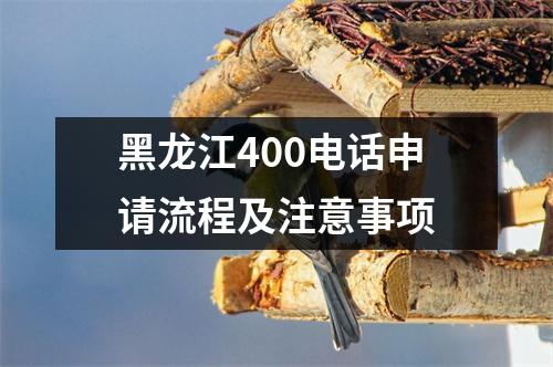 黑龙江400电话申请流程及注意事项